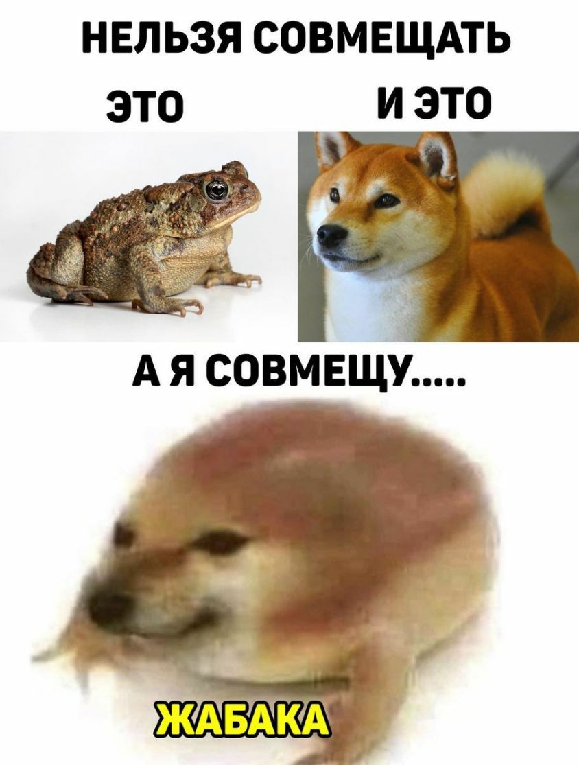 нельзя совмвщдть это и это
