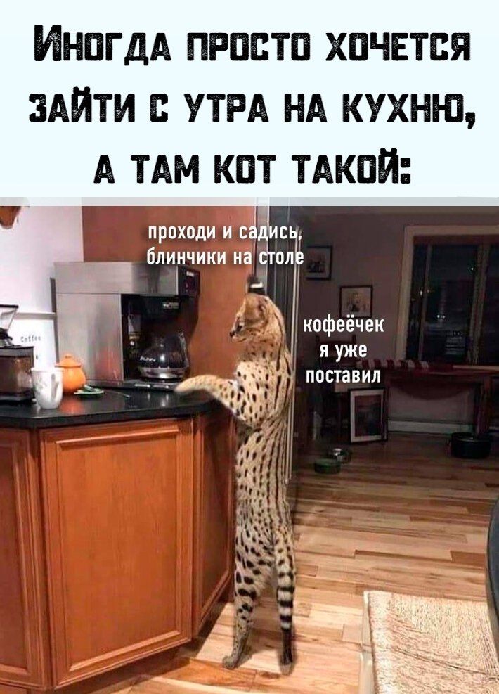 ИнпгдА прпптп хпчвтпя 1 УТРА НА кухню А ТАМ кпт ТАКПЙ проходи и сд с блинчики на сгтол 1 кофеёчек я уже ідд поставил