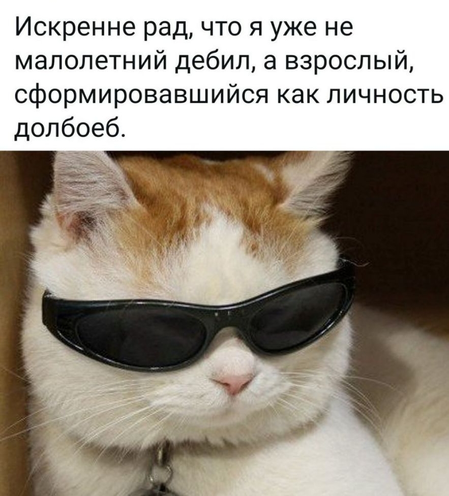 Искренне рад что я уже не малолетний дебил а взрослый сформировавшийсякакличность долбоеб