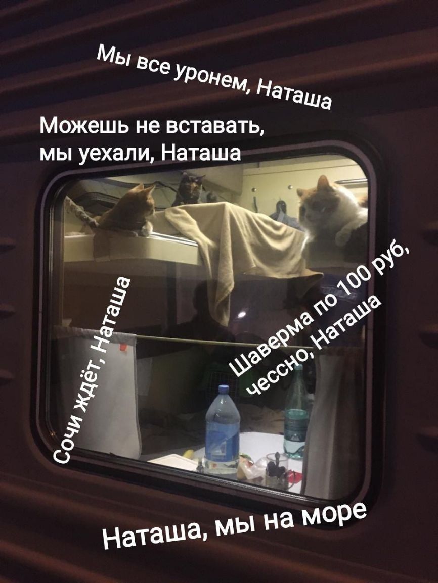 Мы все уронем Нат аша можешь не ВСТЗВЭТЬ МЫ уехали Наташа