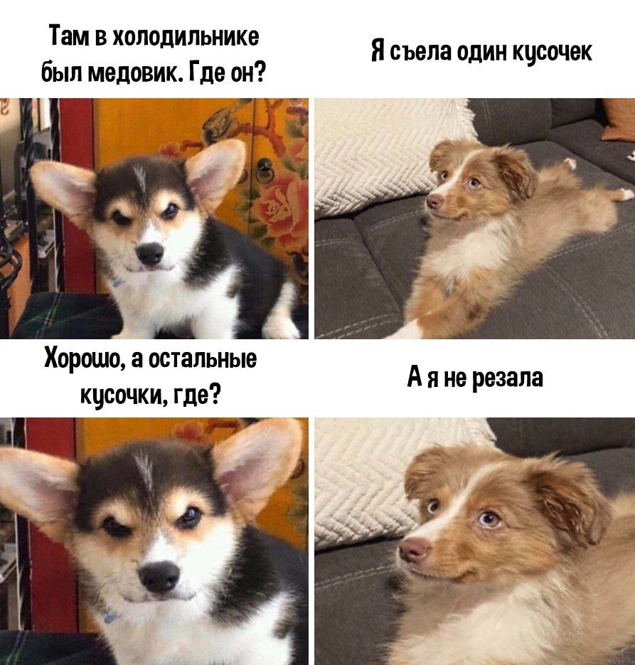 Там В холодильнике Я съела ОДИН кцсочек Хорошо остальные кусочки где Й