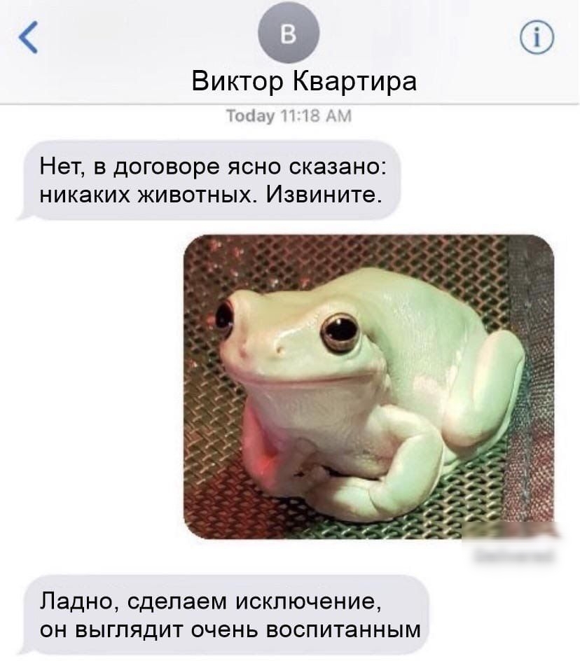 0 Виктор Квартира Токіау П 1 А Нет в договоре ясно сказано никаких животных Извините Ладно сделаем исключение он выглядит очень воспитанным