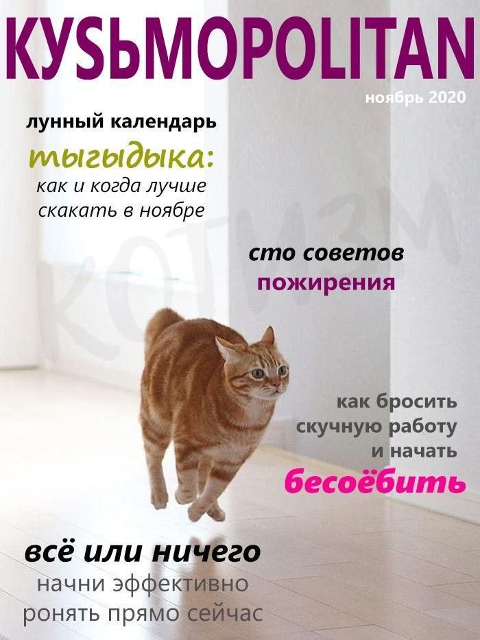 КУБЬМОРОЦТАМ лунный календарь мыгыдыка КПК и когда лучше скакать В ноябре сто советов ПОЖИ рен ИЯ как бросить скучную работу Щначать беготить всё или ни начни эффек ронять прямо