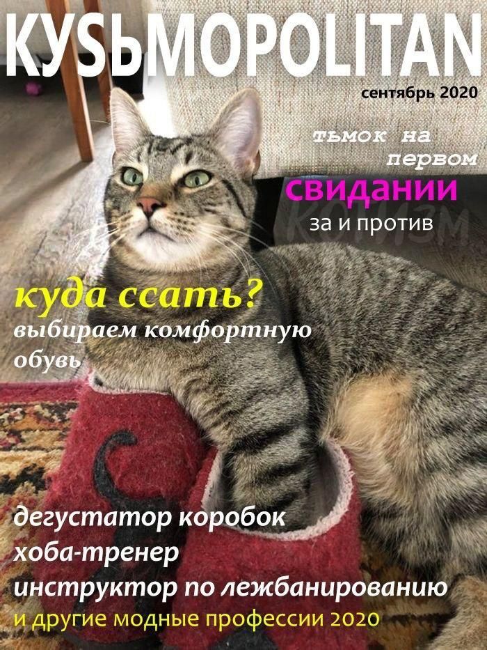 сент_ябрь 2020 Свидании за и против ё хоба тренер инструктор по лежбанированию ГЕ1 ч і