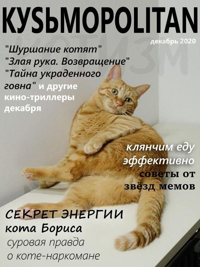 КУБЬМОРОЦТАМ Шуршание котят Злая рука Возвращение Тайна украденного говна кота Бориса суровая правда котенаркомане