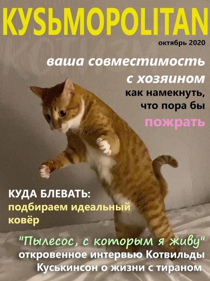 КУБЬМОРОЦТАМ ваша СОВМЕСШЦМОСШЬ С ХОЗЯЦНОМ я КУДА БЛ ЕВАТЬ подбираем идеальный ковёр __а Помесос которым я жабу откровенное интервью КОТВИЛЬДЬі КусьіинсбгЁйизни сти аномч 1