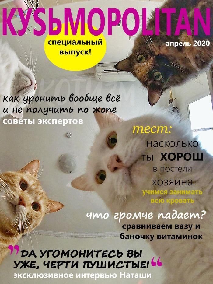 специальный выпуск как уронить вообще всё ЁЁ получить по ите сравниваем вазу и _ баночку витамины 1Аугомонитвсь вы в уже черти пушистыы