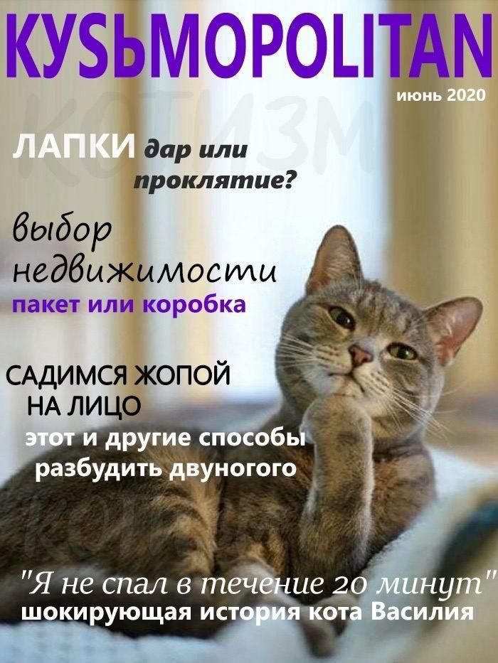 кузьмороцтіём дар или 1 проклятие выбор недбыжымосты пакет или коробка САДИМСЯ ЖОПОЙ НА ЛИ другие сп собь