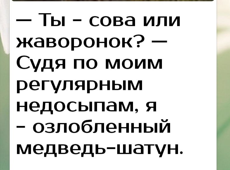 Ты сова или жаворонок Судя по моим регулярным недосыпам я озлобленный медведьшатун
