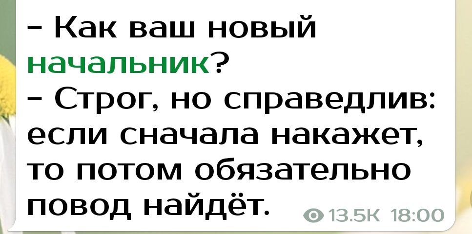 Как ваш новый начальник _ Строг но справедлив если сначала накажет то потом обязательно повод найдёт