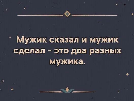 Мужик сказал и мужик сделал это два разных мужика