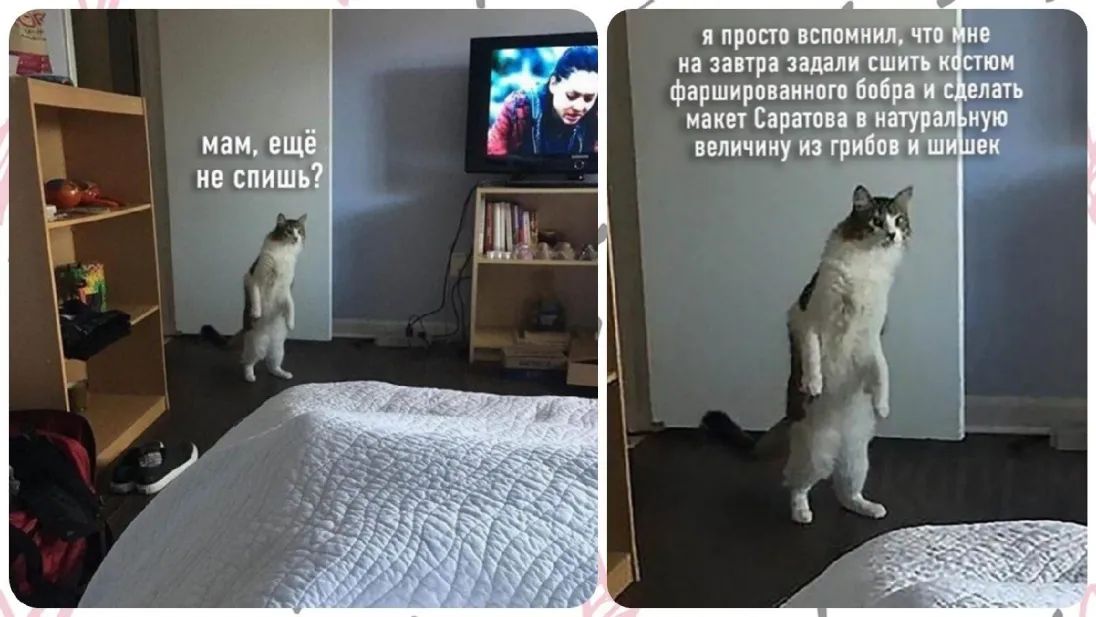 я просто всп _ у на затра задал ПШ юи фаршироввпиппі бп макет Спринт величину пгт