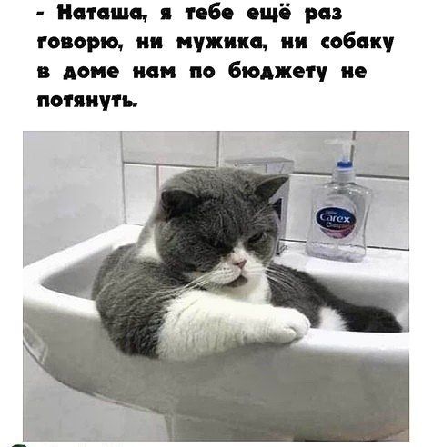 Наташа тебе ещё раз говорю ии мужика ии собст име нам по бюджету ив потянуть