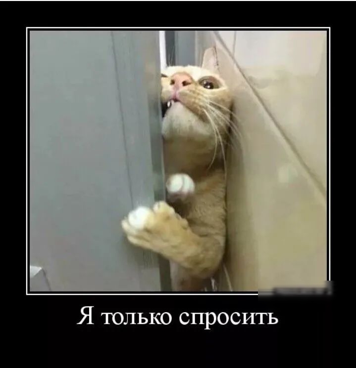 Я только спросить