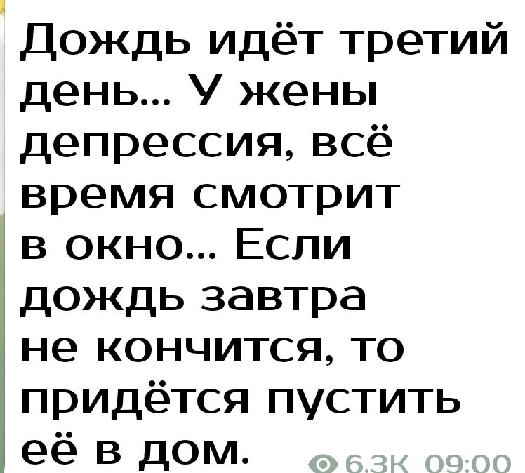 Дождь идёт третий день У жены депрессия всё время смотрит в окно Если дождь завтра не кончится то придётся пустить её в дом