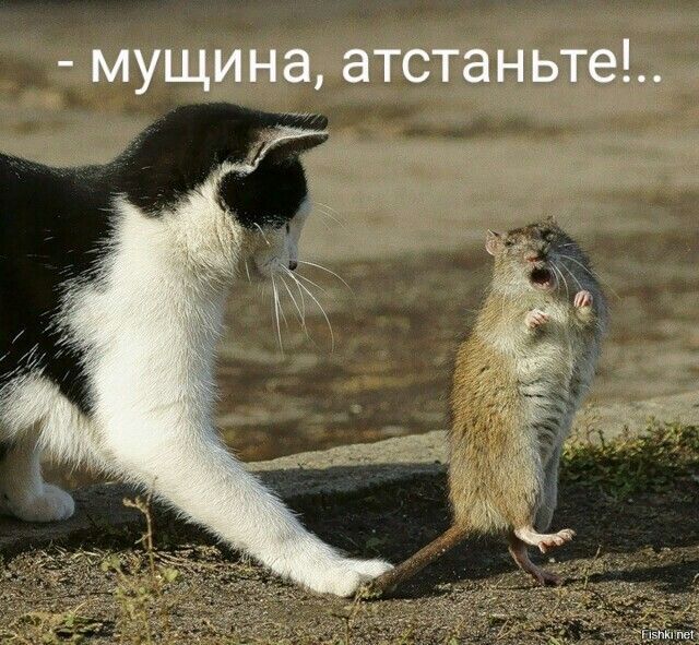 мущина атстаньте