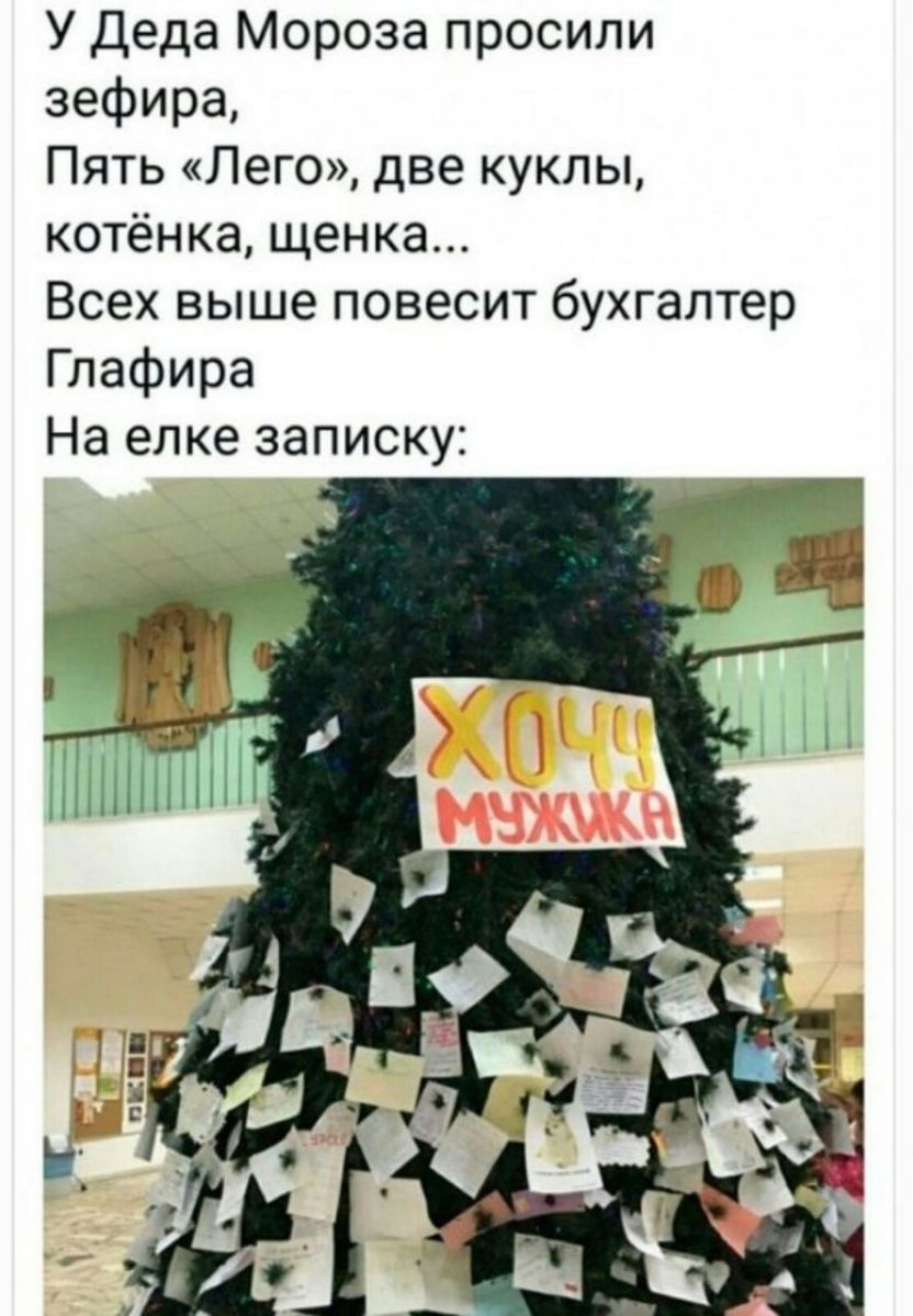 У Деда Мороза просили зефира Пять Лего две куклы котёнка щенка Всех выше повесит бухгалтер Глафира На елке записку