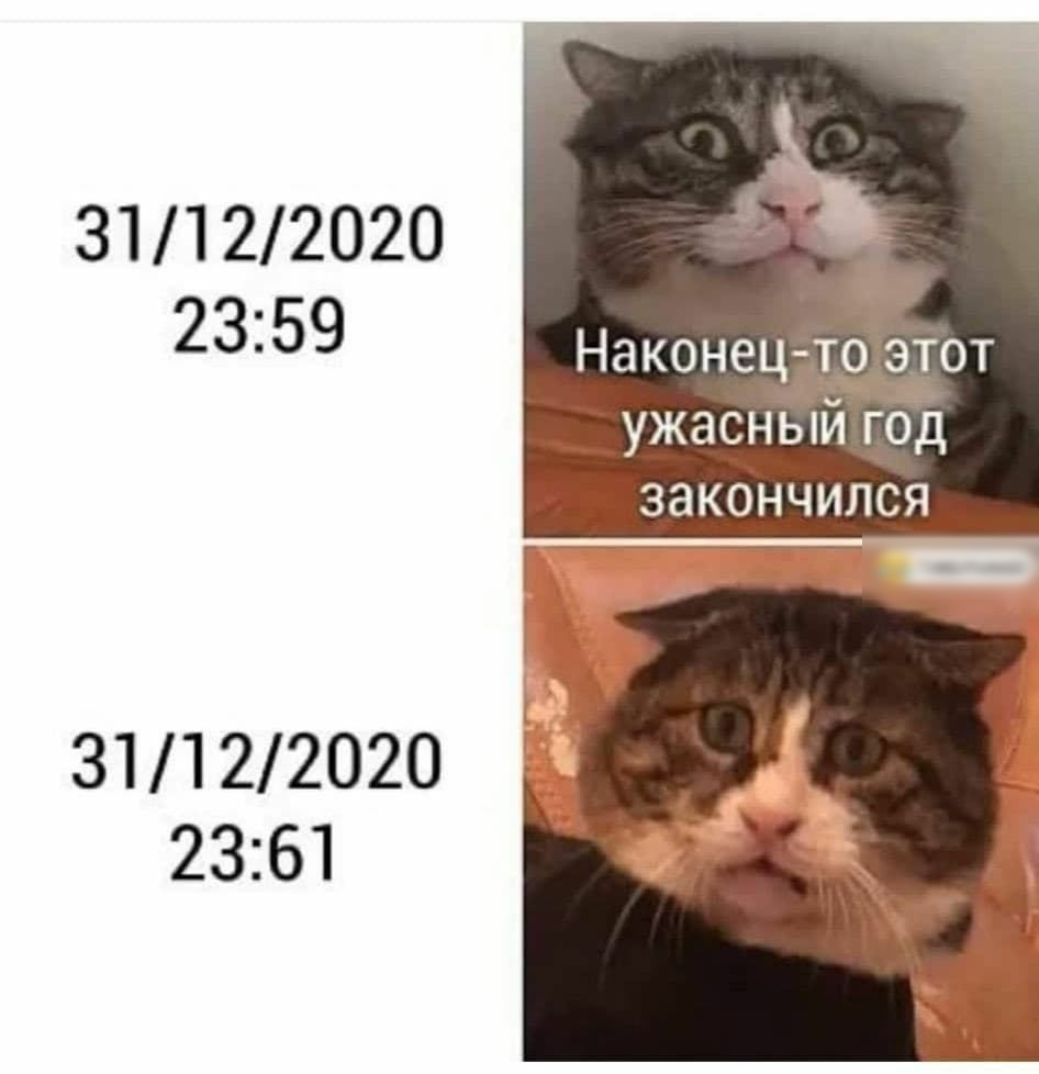 31122020 2359 Наконецто этот УЖЭСНЫЙ ГОД ЗЭКОНЧИЛСЯ 31122020 2ЗЁП