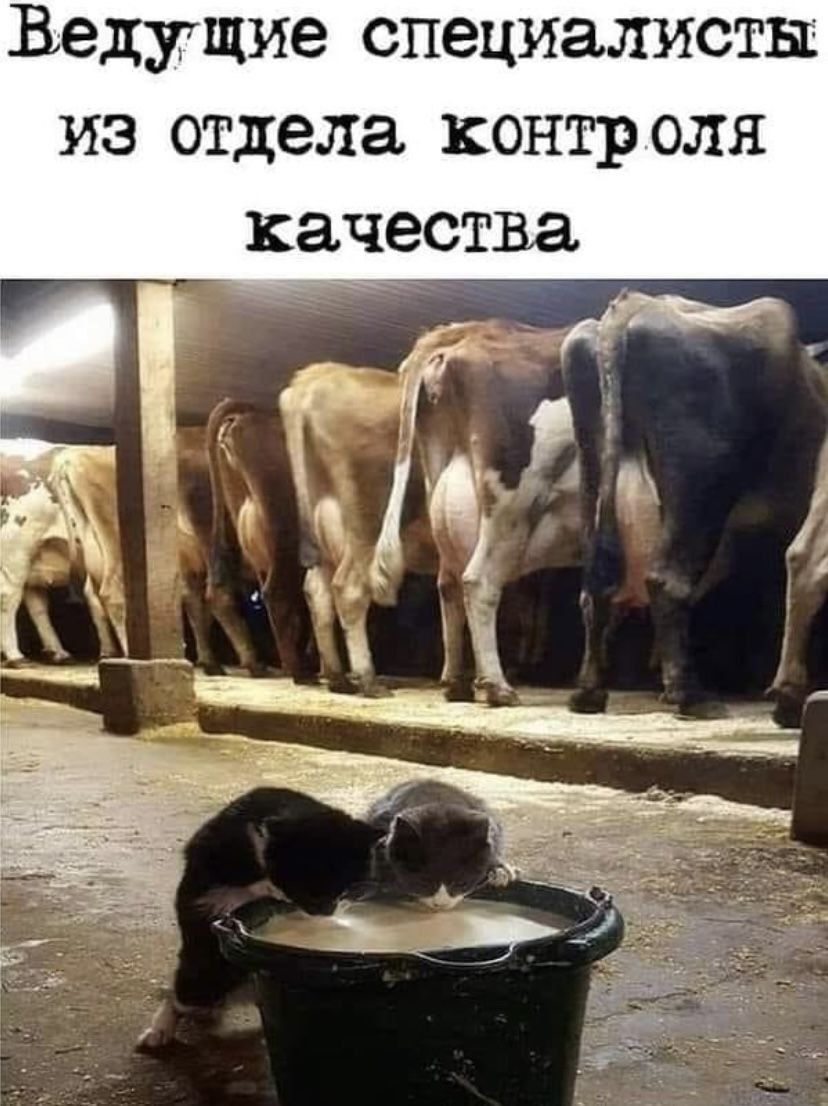 Ведущие специалисты ИЗ отдела КОНТРОЛЯ