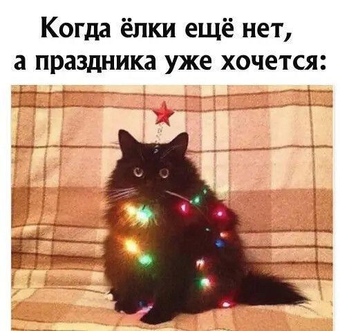 Когда ёлки ещё нет а праздника уже хочется 1