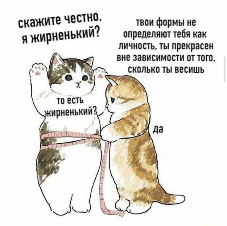 скажите епт твои формы не я жирнеНЬКИИ определяют тебя как личностъ ты прекрасен вне зависимости от тт Т сколько ты весишь о 4 __ 1 д