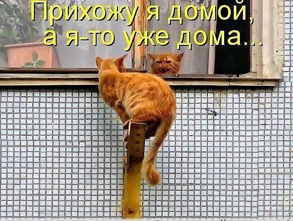 М _ АСИ а Ёжго
