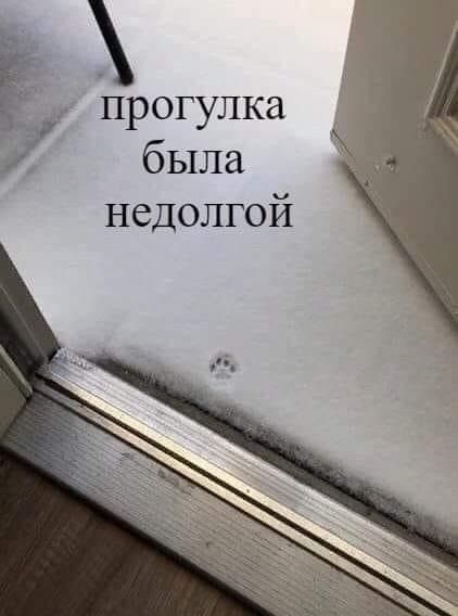 ёрогулка 7 была недолгой