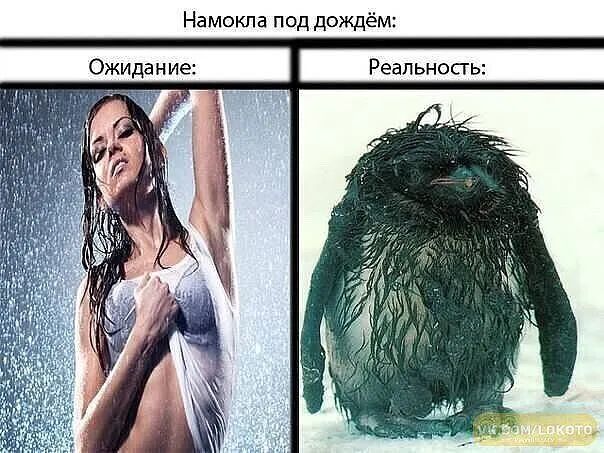 Намокпа под дождём Ожидание Реальносгь Т