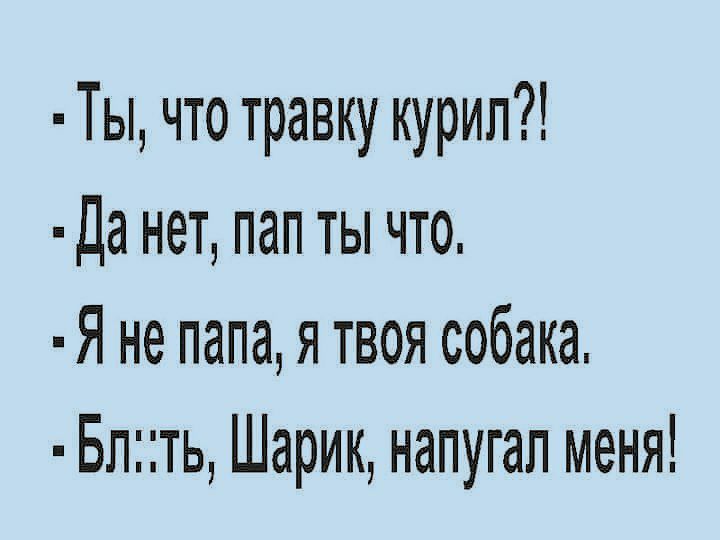 Ты что травку курил Да нет пап ты что Я не папа я твоя собака Блть Шарик напугал меня