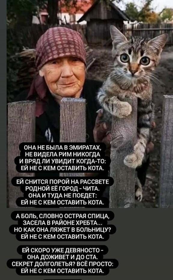 _ ОНА не вым в ЭМИРАТАХ не БИДЕПА рим НИКОГДА гм и вряд ли увидит КОГДА ТО ЕЙ не с кем остдвить котд ы этиш ЕЙ снится порой НА РАССБЕТЕ _ родной ЕЁ город чим ОНА и ТУДА не поЕдп ЕЙ не с кем оотАвить ком м А БОЛЬ СЛОВНО ОСТРАЯ СПИЦА ЗАСЕЛА В РАЙОНЕ ХРЕБТА НО КАК ОНА ПЯЖЕТ В БОПЬНИЦУ ЕЙ НЕ С КЕМ ОСТАВИТЬ КОТА ЕЙ СКОРО УЖЕ ДЕВЯНОСТО ОНА дОЖИВЕТ И до СТА СЕКРЕГ дОПГОЛЕТЬЯ ВСЁ ПРОСТО ЕЙ НЕ С КЕМ ОСТАВИ