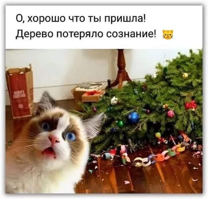 0 хорошо что ты пришла Дерево потеряло сознание