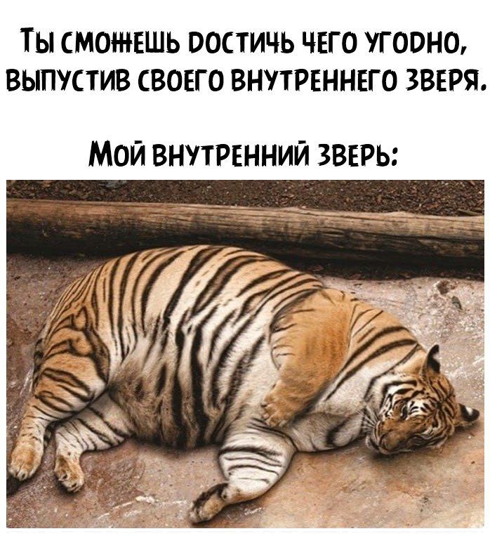 ТЫ СМОЖЕШЬ ВОСТИЧЬ ЧЕГО ГОВН0 ВЫПУСТИВ СВОЕГО ВНУТРЕННЕГО 38ЕРЯ МОЙ ВНУТРЕННИЙ ЗВЕРЬ