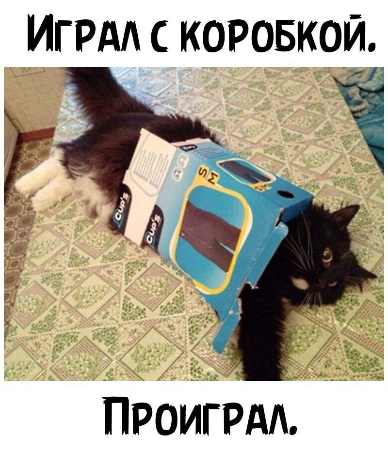 ИГРА С КОРОБКО и ПРОИГРАА