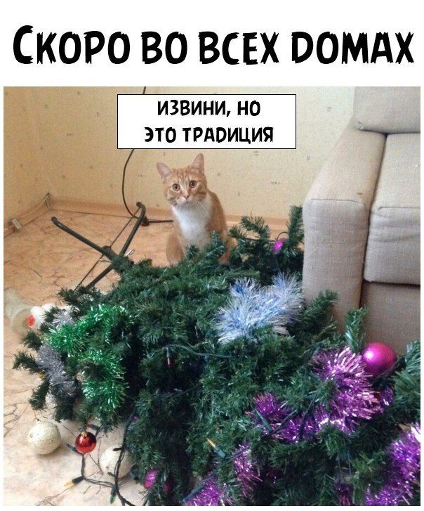СКОРО ВО ВСЕХ ВОМАХ ИЗВИНИ НО ЭТО ТРАОИЦИЯ