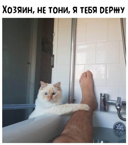 ХОЗЯИН НЕ ТОНИ Я ТЕБЯ ОЕРШ