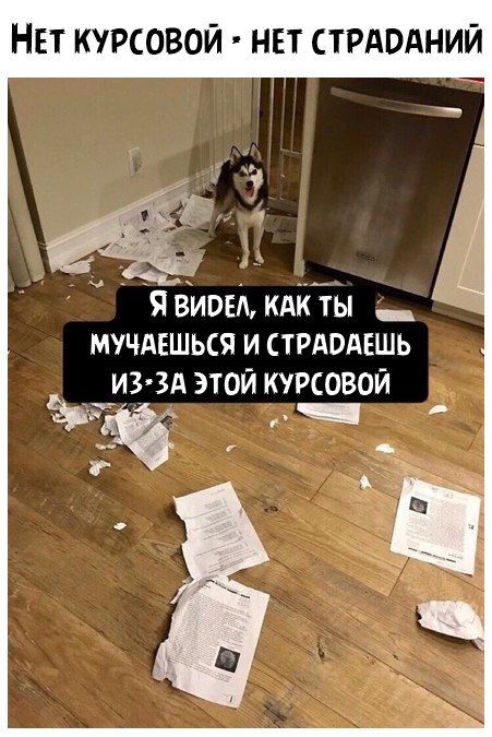 НЕТ КУРСОВОЙ НЕТ СТРАОАНИЙ _ 4 Я виш кдк ты _ мучдвшься и стишдешь _из зд этой курсовой Й