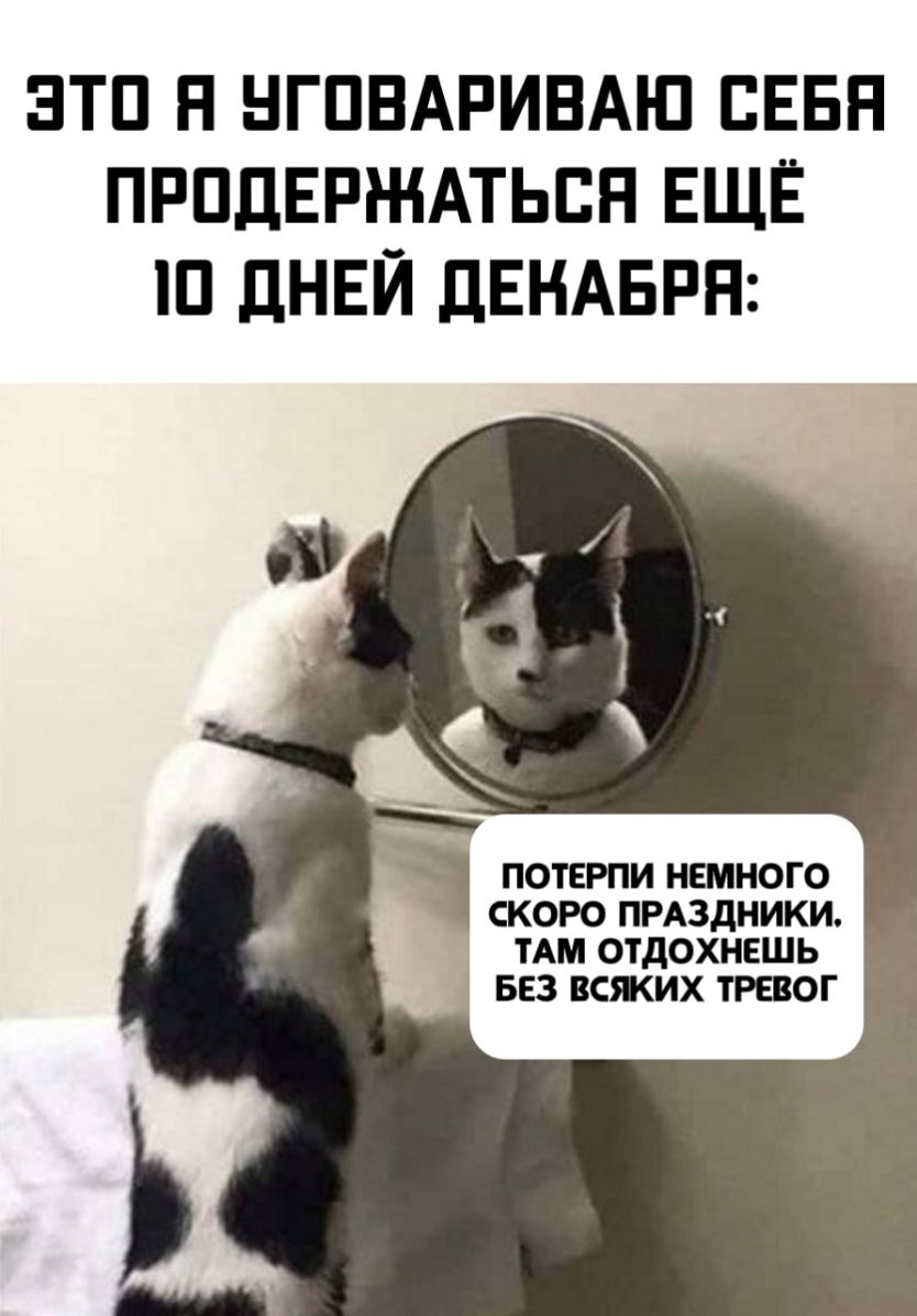 ЭТП Н НГПВАРИВАЮ ВЕБН ПРПДЕРЖАТЬСН ЕЩЁ П дНЕЙ ДЕНАБРН ПОТЕРПИ НЕМНОГО СКОРО ПРАЗДНИКИ ТАМ ОТДОХНЕШЬ БЕЗ ВСЖИХ ТРЕВОГ