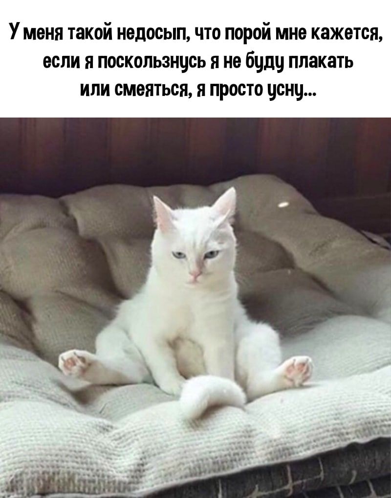 У меня такой недосып что порой мне кажется если я поскользнцсь я не бчду плакать или смеяться я просто усну