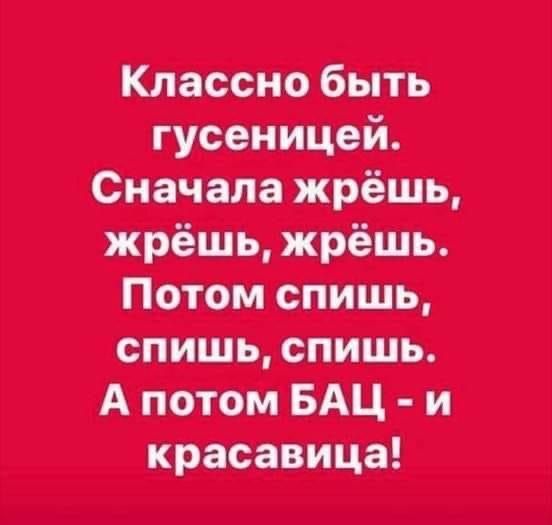 ппці дииЩит