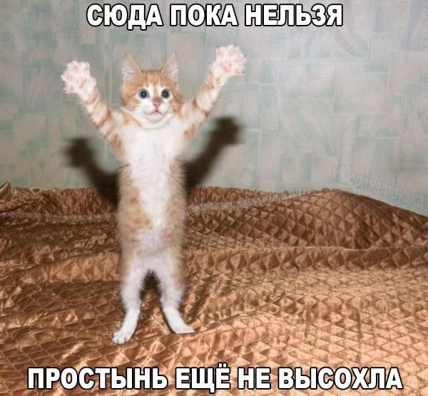 ЬЗЯ КА