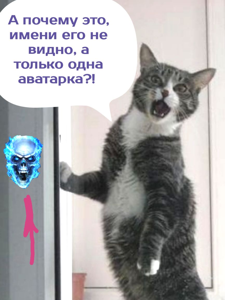 А пачему 3Т0 имени го не вищааш а только одна аватарка