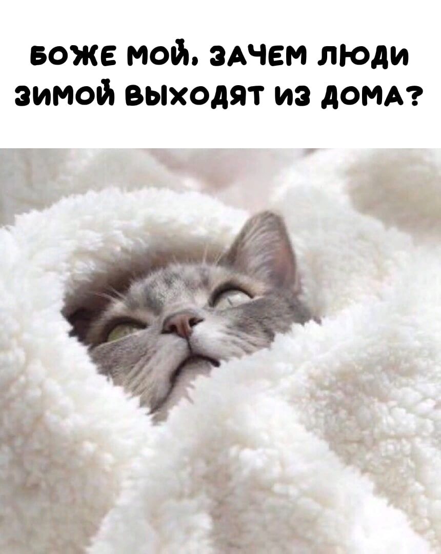 воже мой зАчем моди зимой выходят из домд