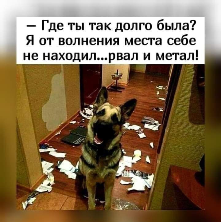 Где ты так долго была Я от волнения места себе не находилрвал и метал