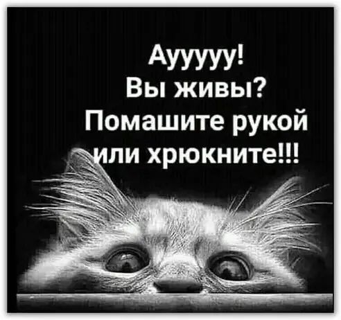 АУУУУУ Вы живы Помашите рукой ли хрюкните
