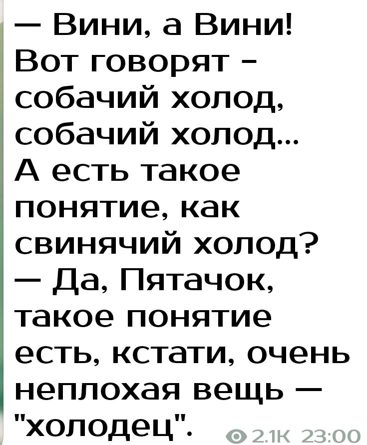 Вини а Вини Вот говорят собачий холод собачий холод А есть такое понятиекак свинячий холод Да Пятачок такое понятие есть кстати очень неплохая вещь холодец