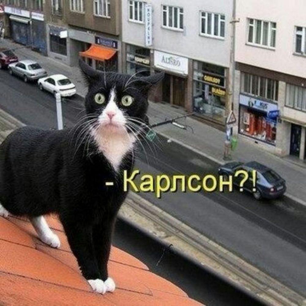Ка рп с 0 Р _ЁДЁЁ