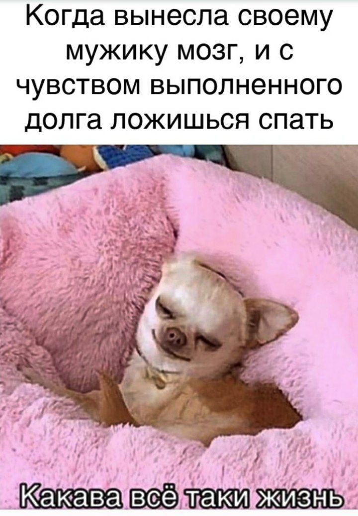 Когда вынесла своему мужику мозг и с чувством выполненного долга ложишься спать
