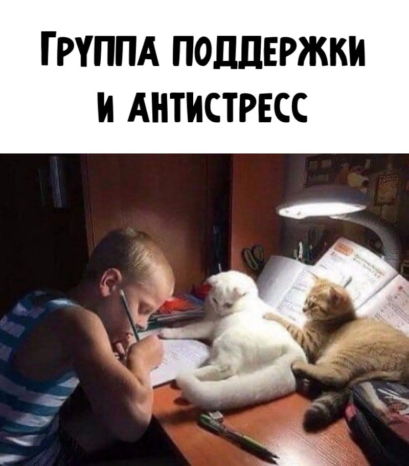 ГРУППА ПОДДЕРЖКИ и АНТИСТРЕСС