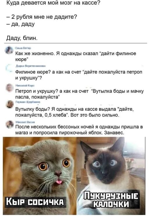 Куда девается мой мозг на кассе 2 рубля мне не дадите _ да дадУ Даду бпин Как же жизненно Я пднажды сказал дайти фипиное кюре Филиное поре а как на счет дайте пожалуйста петроп и укрушку Петроп и укрушку7 а как на счет Бутылка беды и мачку паспа пожалуйста Бутылку бпды я однажды на кассе выдала дайте пажалуйста 05 хлеба Вот эт была сильно Поппе нескольких бесспиых нпчей я однажды пришла в магаз и 