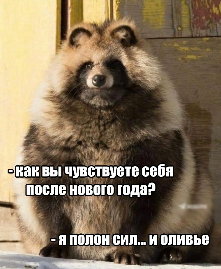 Ч Ш как вы чувствуете себя